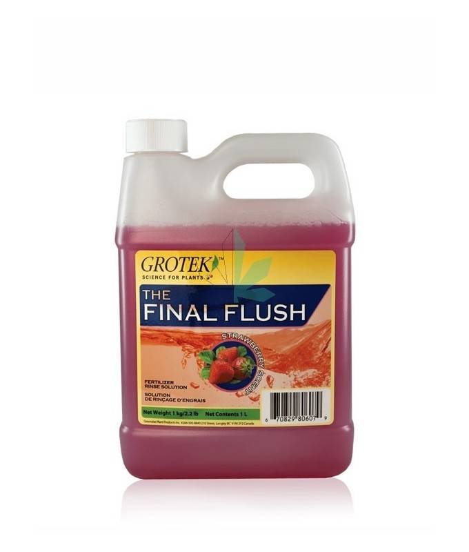 Imagen principal del producto Final Flush 