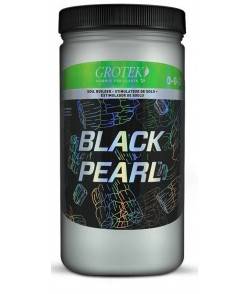 Imagen secundaria del producto Black Pearl 