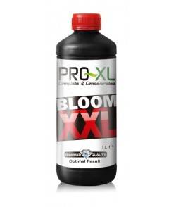Imagen secundaria del producto Bloom XXL 