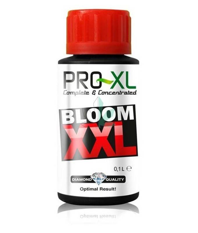 Imagen principal del producto Bloom XXL 