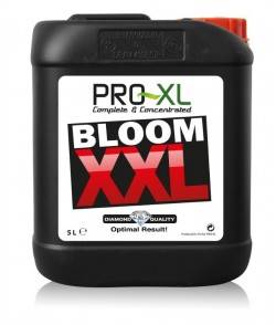 Imagen secundaria del producto Bloom XXL 