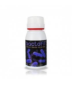 Bactofil - Bacterias para...