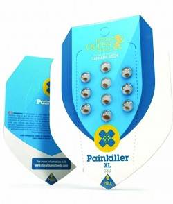 Imagen secundaria del producto Painkiller XL CBD Feminizada