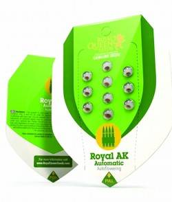 Imagen secundaria del producto Royal Ak Automatic 