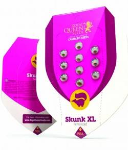 Imagen secundaria del producto Skunk XL Feminizada