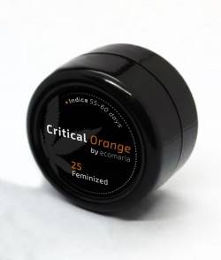 Imagen secundaria del producto Critical Orange 