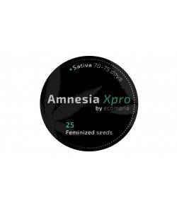 Imagen secundaria del producto Amnesia XPro 
