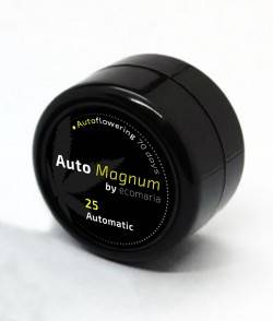 Imagen secundaria del producto Auto Magnum 