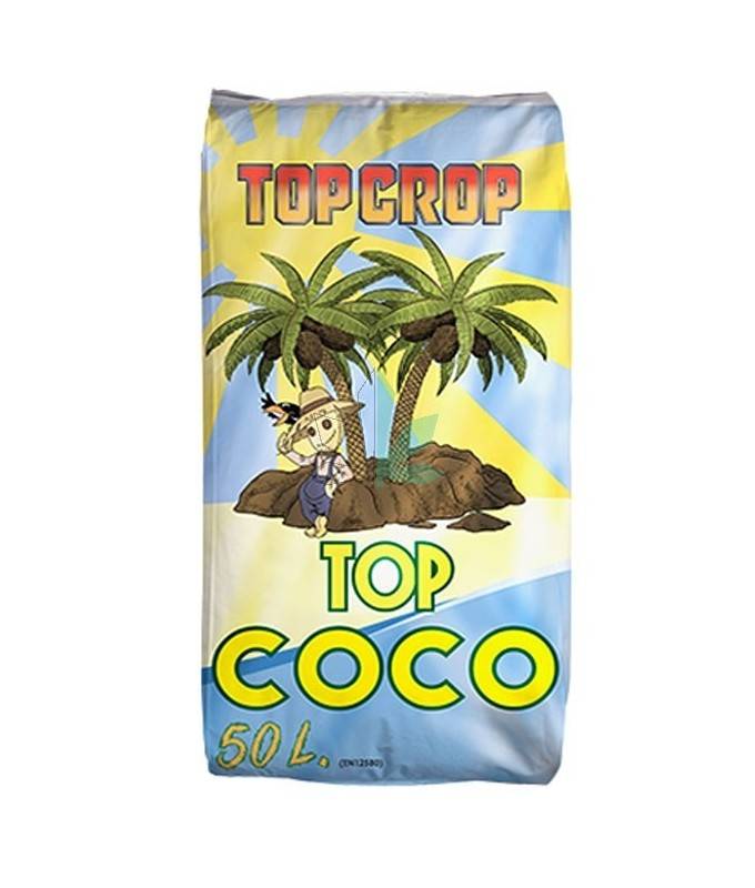 Imagen principal del producto Top Coco 