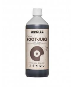 Imagen secundaria del producto Root Juice 