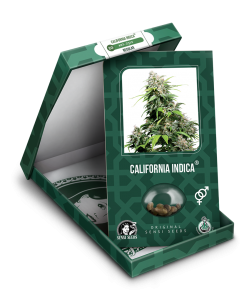 Imagen secundaria del producto California Indica Feminizada