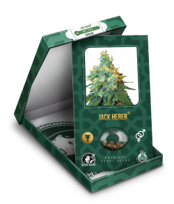 Imagen secundaria del producto Jack Herer Feminizada