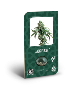 Imagen secundaria del producto Jack Flash (Regular) y Jack Flash 5 (feminizada) 