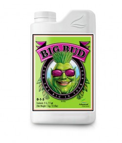 Big Bud - estimulante de...