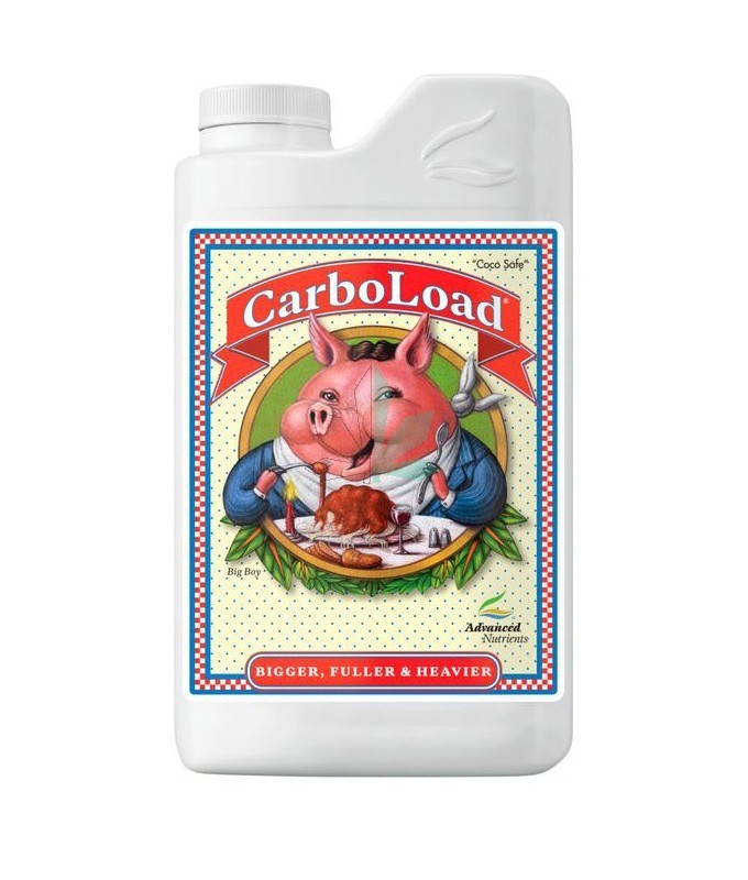 Imagen principal del producto Carboload 