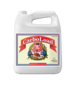 Imagen secundaria del producto Carboload 
