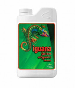 Iguana Juice organic Bloom...