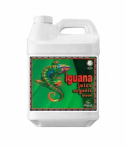 Imagen secundaria del producto Iguana Juice organic Bloom 