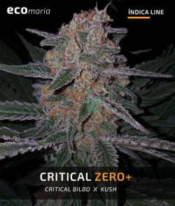 Critical Zero +  - Semillas...