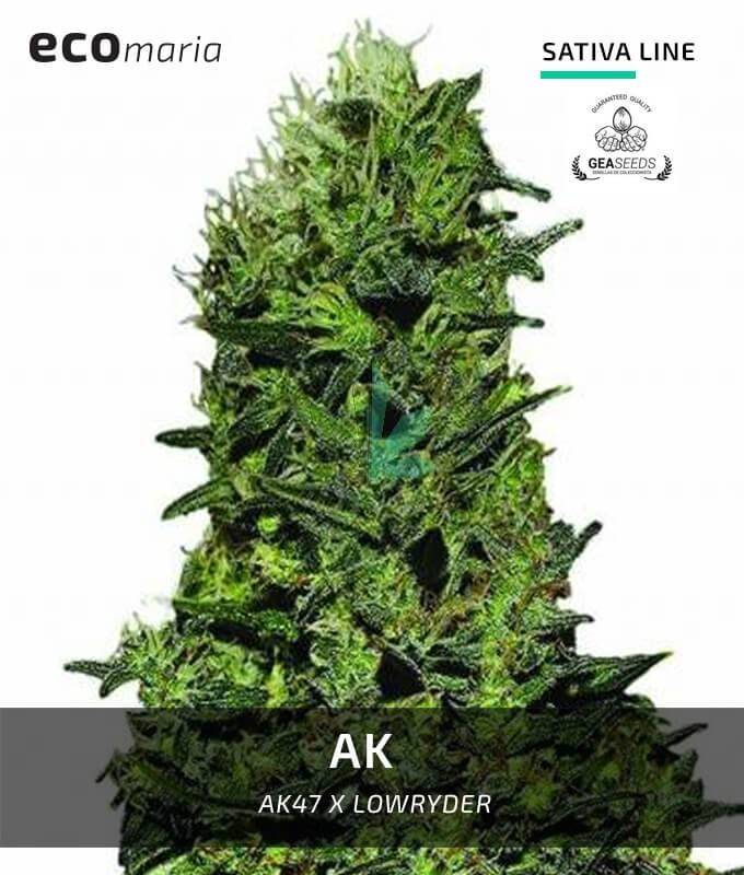 Imagen principal del producto Ak 