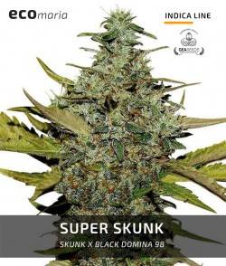 Imagen secundaria del producto Super Skunk 