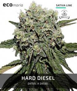 Imagen secundaria del producto Hard Diesel 