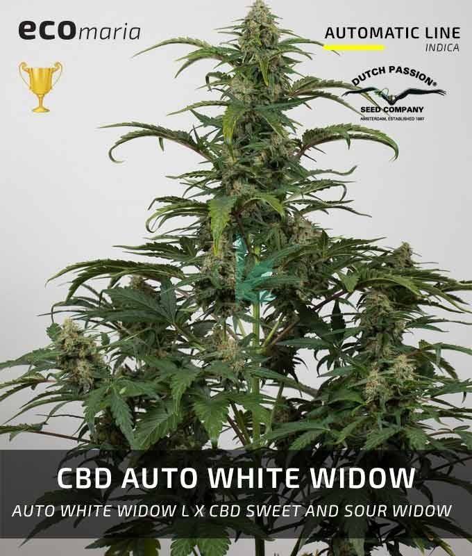 Imagen principal del producto CBD Auto White Widow 