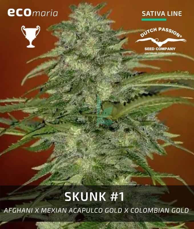 Imagen principal del producto Skunk 1 Feminizada