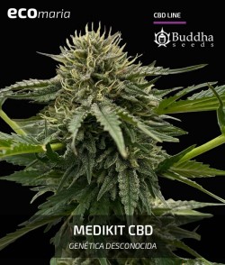 Medikit CBD - Cannabis rico...
