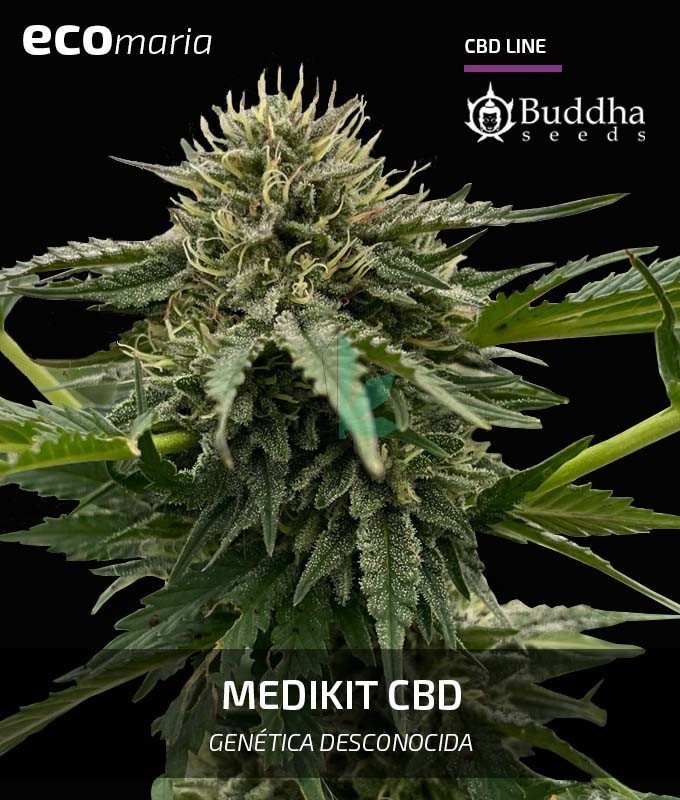 Imagen principal del producto Medikit CBD Feminizada