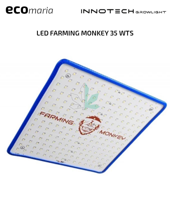 Imagen principal del producto FARMING MONKEY Slim 35 WTS 