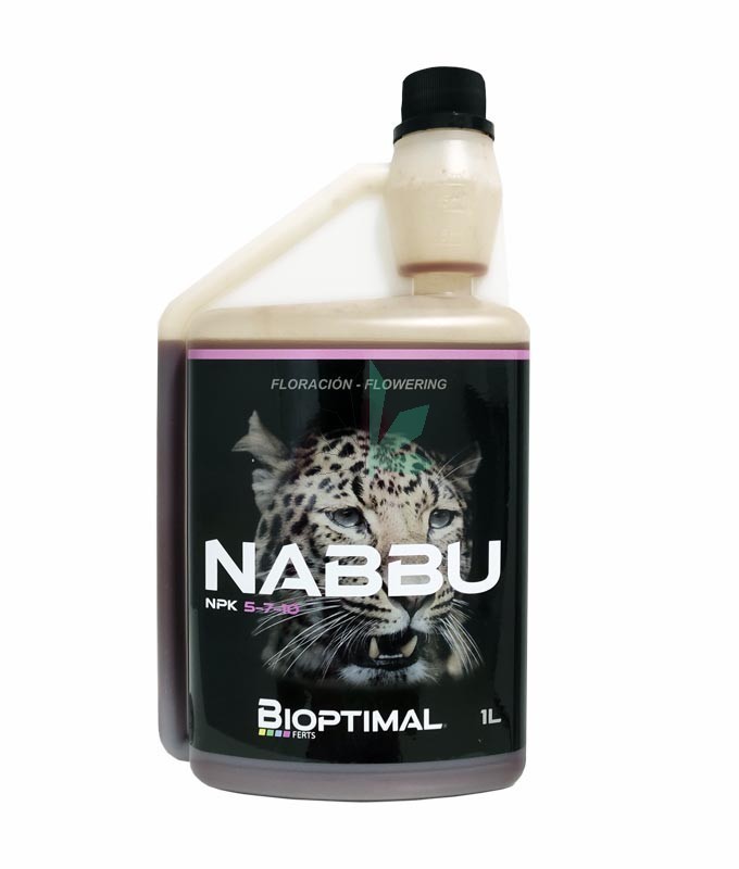 Imagen principal del producto Nabbu 