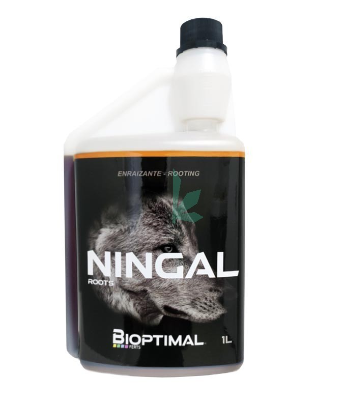 Imagen principal del producto Ningal 