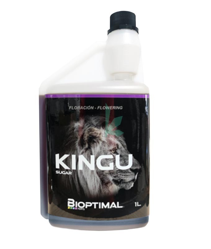 Imagen principal del producto Kingu 