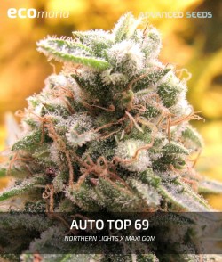 Top 69 Autofloreciente