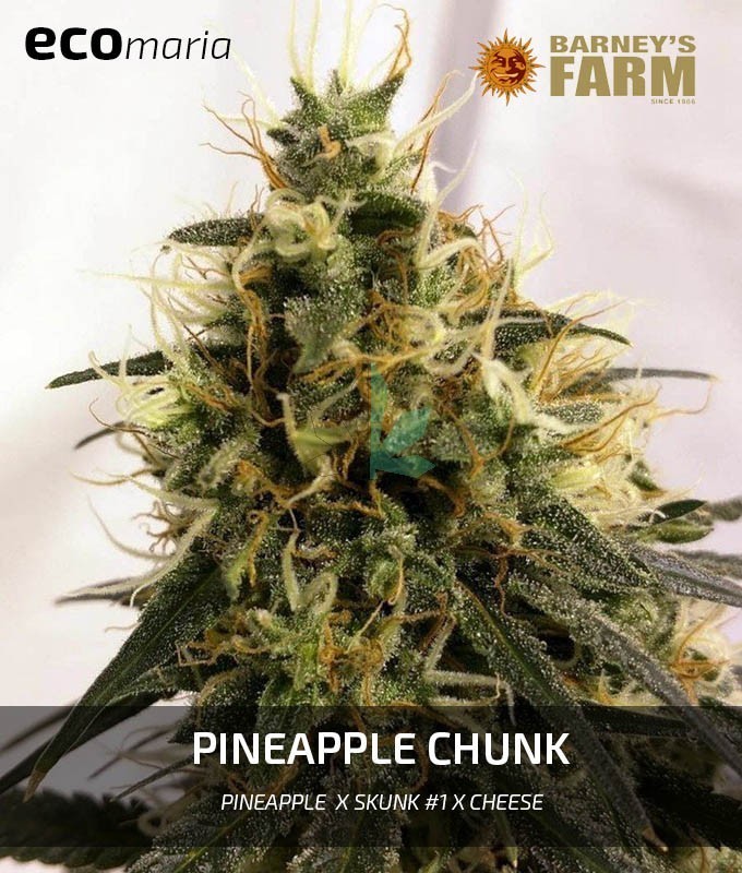 Imagen principal del producto Pineapple Chunk 