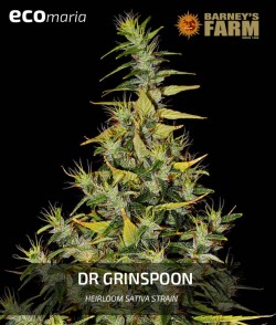 Dr. Grinspoon - 100%...