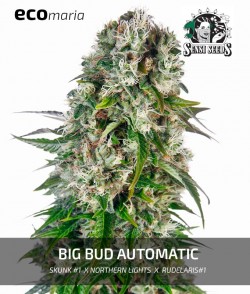 Big Bud Automatic -...
