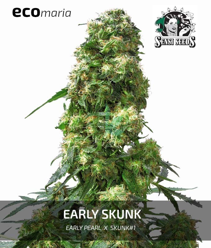 Imagen principal del producto Early Skunk 