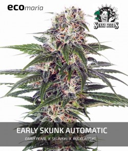Early Skunk Automatic -...