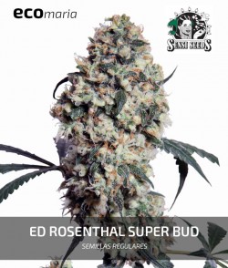 Imagen secundaria del producto Ed Rosenthal Super Bud Regular