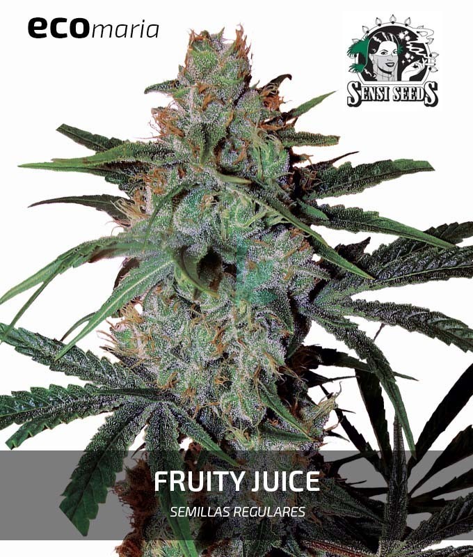 Imagen principal del producto Fruity Juice Regular