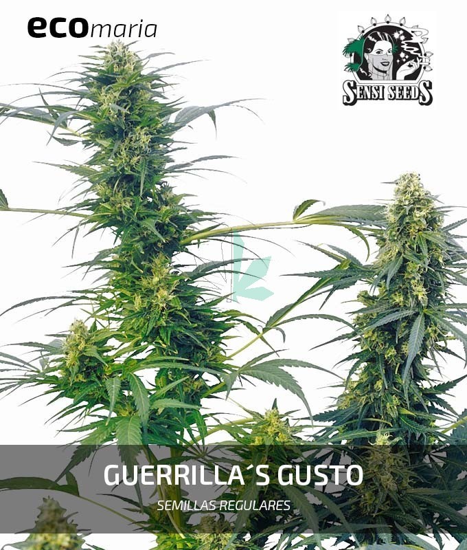 Imagen principal del producto Guerrilla's Gusto 