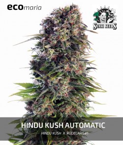 Hindu Kush Automatic -...