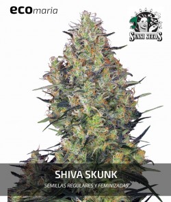 Shiva Skunk - Feminizada o...