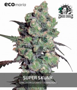 Super Skunk - Versión...