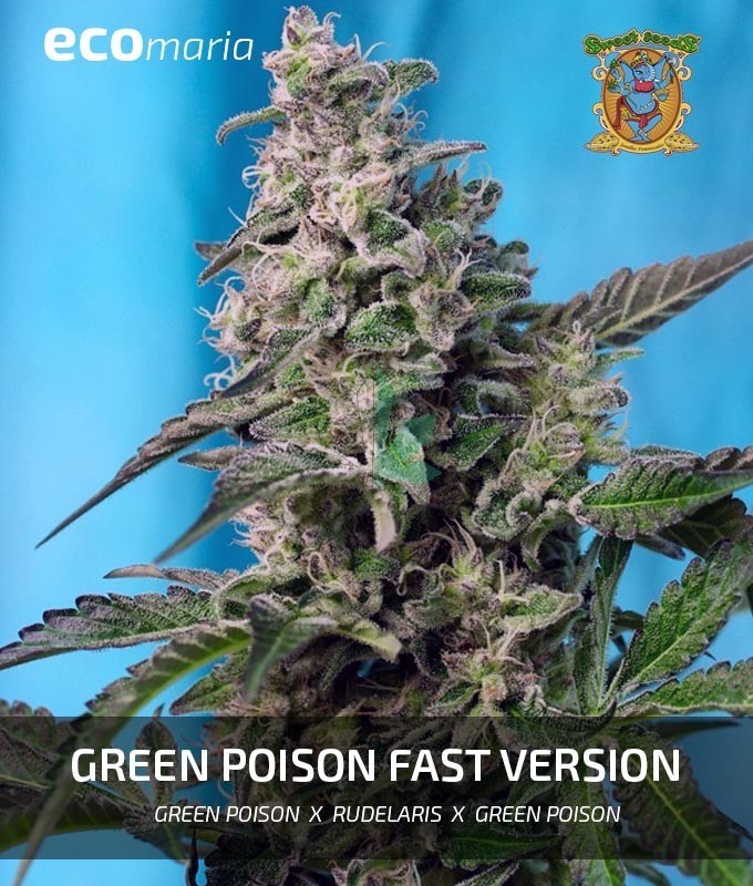 Imagen principal del producto Green Poison F1 Fast Version 