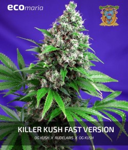 Imagen secundaria del producto Killer Kush Fast Version