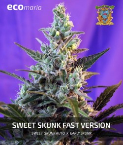 Imagen secundaria del producto Sweet Skunk Fast Version
