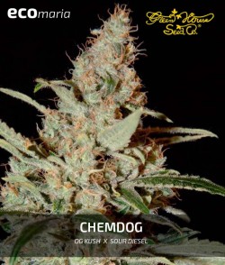 Chemdog - Feminizada de...